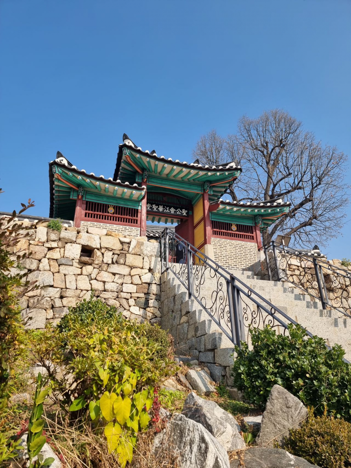 IMG_202211082513_png