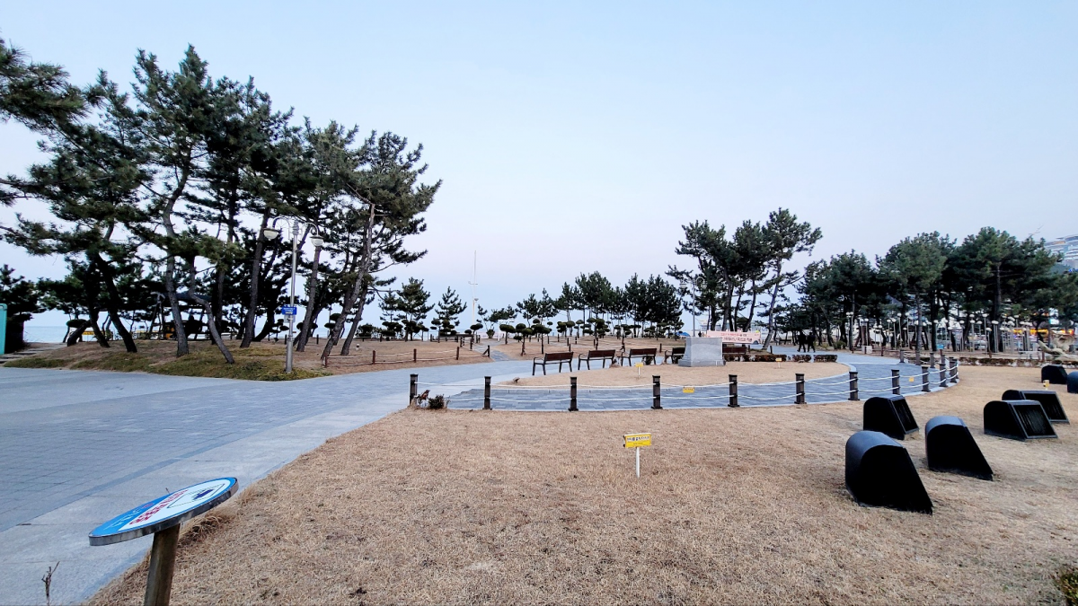IMG_202301135443_png