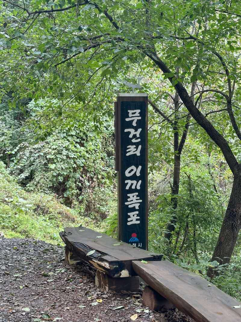 1749629141889_100