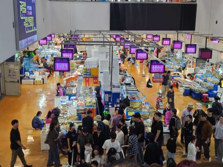 鹭梁津水产市场，各种水产品集货场 (10)