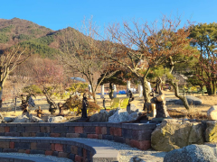 全罗北道茂朱郡赤裳面桂木里约定庭院