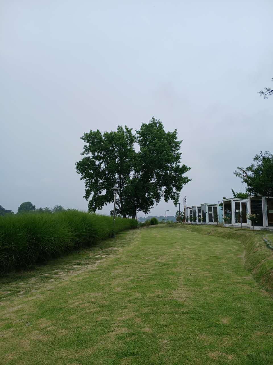 image_1783149003429